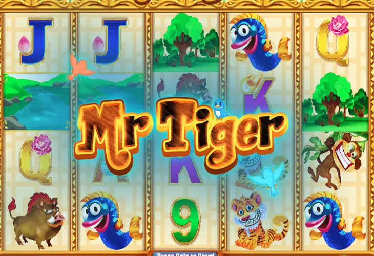 Mr Tiger