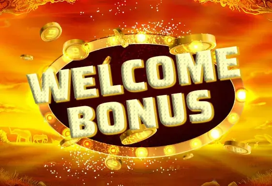 Welcome Bonus Playamo casino